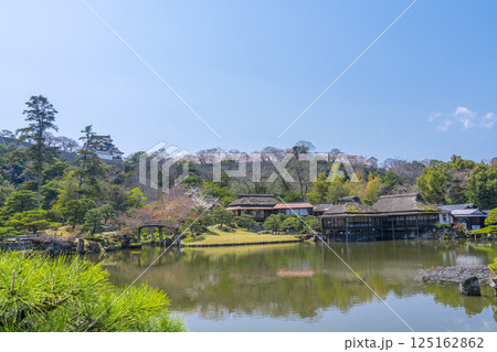 玄宮園の美しい庭園から望む彦根城天守 玄宮園の美しい庭園から望む彦根城天守 125162862