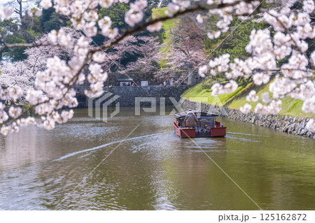 彦根城内堀　満開の桜と屋形船 125162872