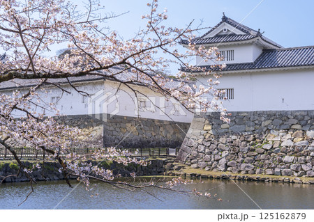 彦根城 佐和口多聞櫓と満開の桜 125162879