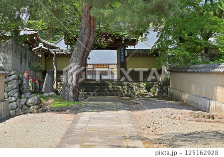 中山道松井田宿散歩：曹洞宗 補陀寺　安中市松井田町 125162928