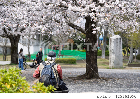 公園の満開の桜の下でくつろぐ人々 125162956