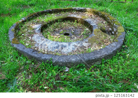 史跡檜隈寺跡　礎石 125163142