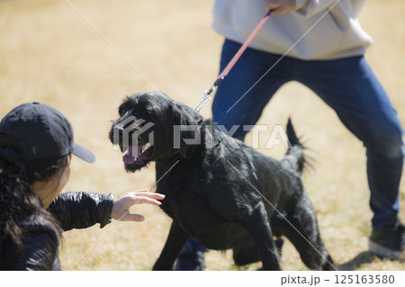 犬を散歩する男性 125163580