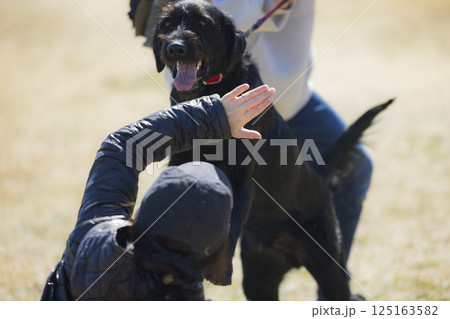犬を散歩する男性 犬を散歩する男性 125163582