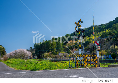 いすみ鉄道生島踏切 春のノスタルジーな風景 いすみ鉄道生島踏切 春のノスタルジーな風景 125163711
