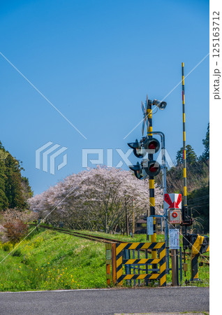 いすみ鉄道生島踏切 春のノスタルジーな風景 いすみ鉄道生島踏切 春のノスタルジーな風景 125163712