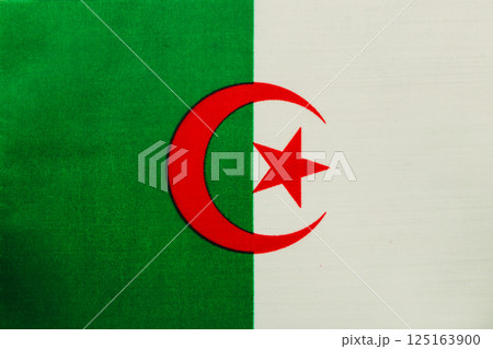 Flag of Algeria displayed with vibrant colors and design 125163900