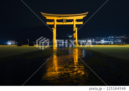 厳島神社の大鳥居　夜景 125164546