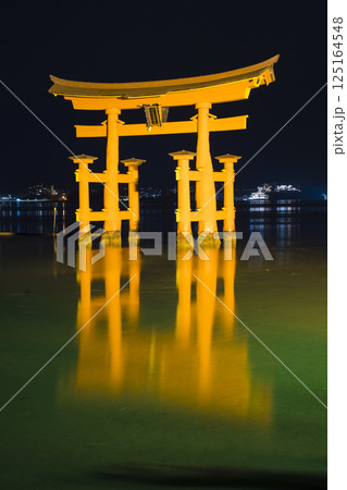 厳島神社の大鳥居 夜景 厳島神社の大鳥居 夜景 125164548