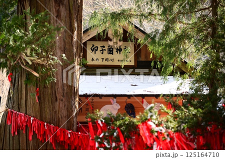 遠野遺産卯子酉神社 125164710