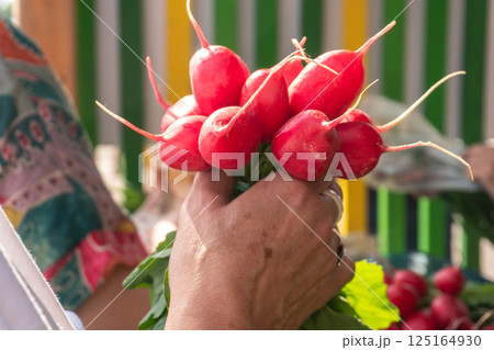 Bunch of Radishes at Farmers Market Bunch of Radishes at Farmers Market 125164930