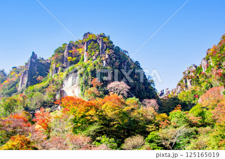一目八景 125165019
