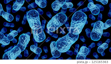 Bacteroides Probiotic Bacteria 125165363