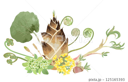 水彩でラフに描いた春の山菜セット 125165393