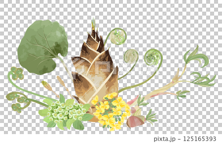 水彩でラフに描いた春の山菜セット 125165393