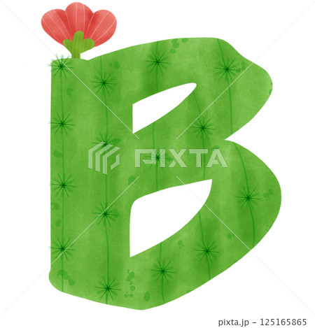 number set with cactus number set with cactus 125165865