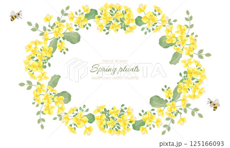 水彩で描いた菜の花とミツバチのフレーム（リース） 125166093