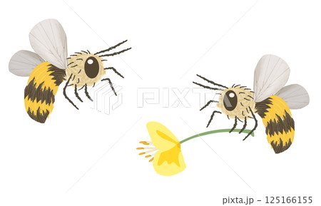ミツバチ, 蜜蜂, 昆虫, 蜂, ハチミツ, 飛ぶ, 翅, 触覚, 刺す, 生き物, 縞模様, 春, 125166155