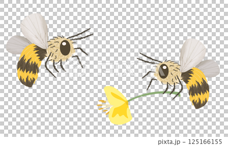 bee, honeybee, insect, bee, honey, fly, wings, antennae, sting, creature, striped, spring, 125166155