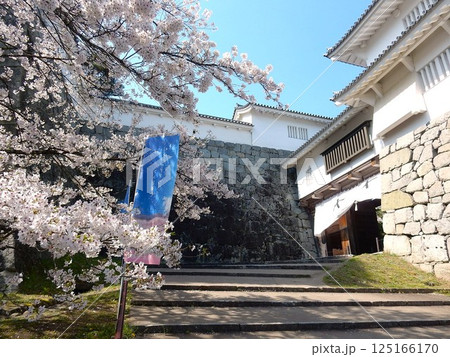 春爛漫の国史跡二本松城・霞ヶ城公園 春爛漫の国史跡二本松城・霞ヶ城公園 125166170