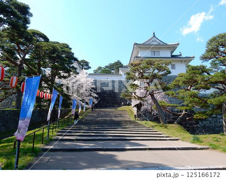 春爛漫の国史跡二本松城・霞ヶ城公園 春爛漫の国史跡二本松城・霞ヶ城公園 125166172