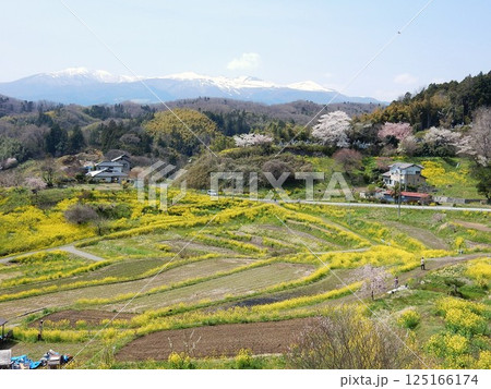 原風景が美しい福島県二本松市の西谷棚田 原風景が美しい福島県二本松市の西谷棚田 125166174