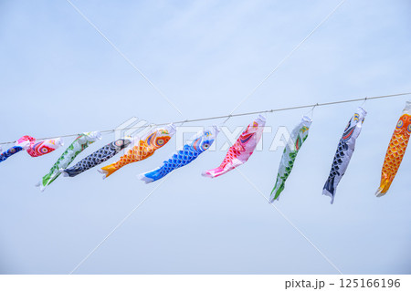 こいのぼり 鯉のぼり 5月5日 こどもの日 行事 5月 イメージ 125166196