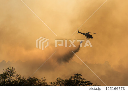 Fire fighting helicopter carry water bucket to extinguish the forest fire. 125166778