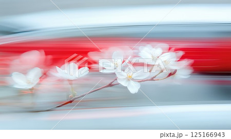 疾走する赤い車を背景に揺れる桜の花 125166943