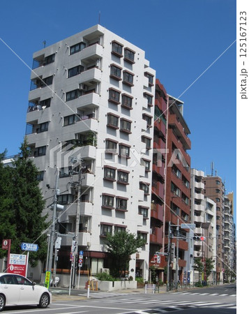 池之端二丁目付近 125167123