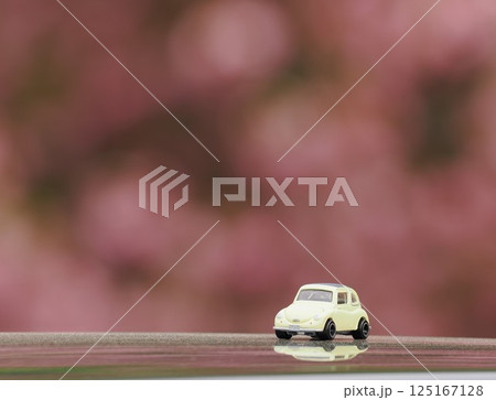 ミニカーのある風景 お花が背景のスバル360 ミニカーのある風景 お花が背景のスバル360 125167128