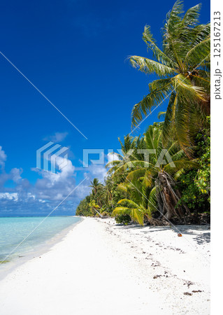 Idyllic white sand beach with coconut trees in Maupiti, French Polynesia Idyllic white sand beach with coconut trees in Maupiti, French Polynesia 125167213