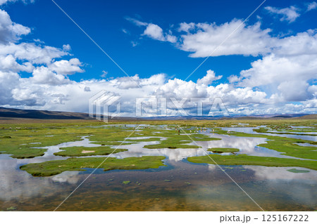 Alpacas and llamas grazing near wetlands in the highlands of Peru Alpacas and llamas grazing near wetlands in the highlands of Peru 125167222