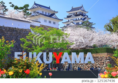 【広島県】快晴の福山城と満開の桜（天守閣　月見櫓） 125167436