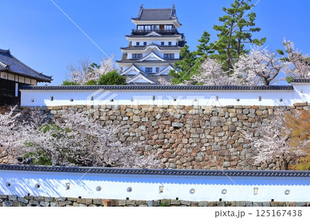 【広島県】快晴の福山城と満開の桜 125167438