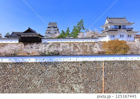【広島県】快晴の福山城と満開の桜（天守閣　御湯殿　月見櫓） 125167445