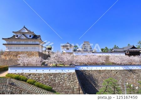 【広島県】快晴の福山城と満開の桜（天守閣　伏見櫓　鐘櫓　筋鉄御門　御湯殿） 125167450