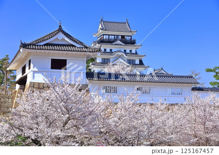 【広島県】快晴の福山城と満開の桜（天守閣　筋鉄御門） 125167457