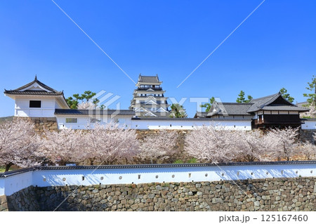 【広島県】快晴の福山城と満開の桜(天守閣 筋鉄御門 御湯殿) 【広島県】快晴の福山城と満開の桜(天守閣 筋鉄御門 御湯殿) 125167460