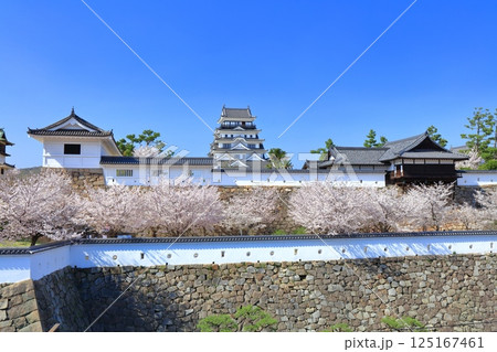 【広島県】快晴の福山城と満開の桜（天守閣　筋鉄御門　御湯殿） 125167461