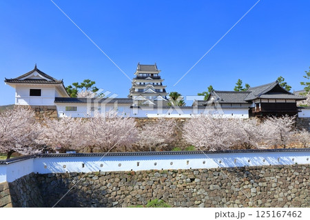 【広島県】快晴の福山城と満開の桜（天守閣　筋鉄御門　御湯殿） 125167462