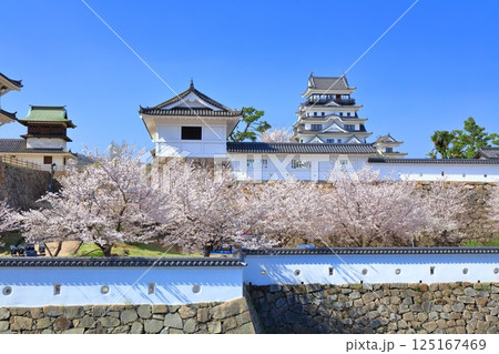 【広島県】快晴の福山城と満開の桜（伏見櫓　筋鉄御門） 125167469
