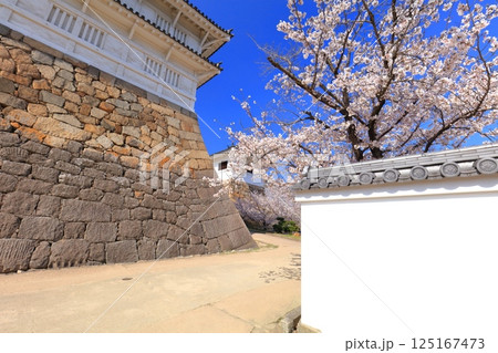 【広島県】快晴の福山城と満開の桜（伏見櫓　筋鉄御門） 125167473