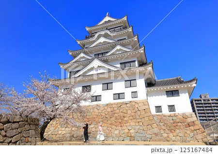 【広島県】快晴の福山城と満開の桜 125167484