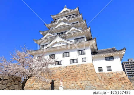 【広島県】快晴の福山城と満開の桜 125167485