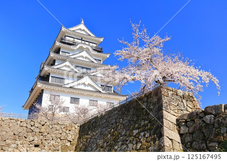【広島県】快晴の福山城と満開の桜 125167495