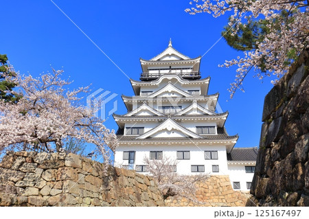 【広島県】快晴の福山城と満開の桜 125167497
