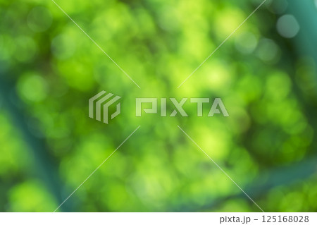 グリーン系 春 初夏 4月 アウトフォーカス 玉ボケ 鮮やか 背景素材 125168028