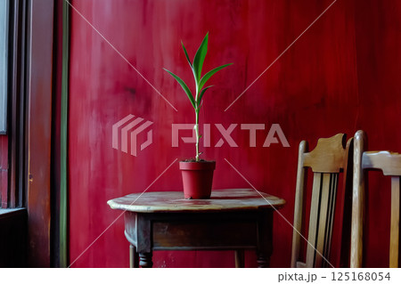 Single potted plant standing on a table in the middle of the room Single potted plant standing on a table in the middle of the room 125168054