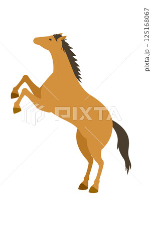 立ち上がる馬のシンプルなベクターイラスト 立ち上がる馬のシンプルなベクターイラスト 125168067